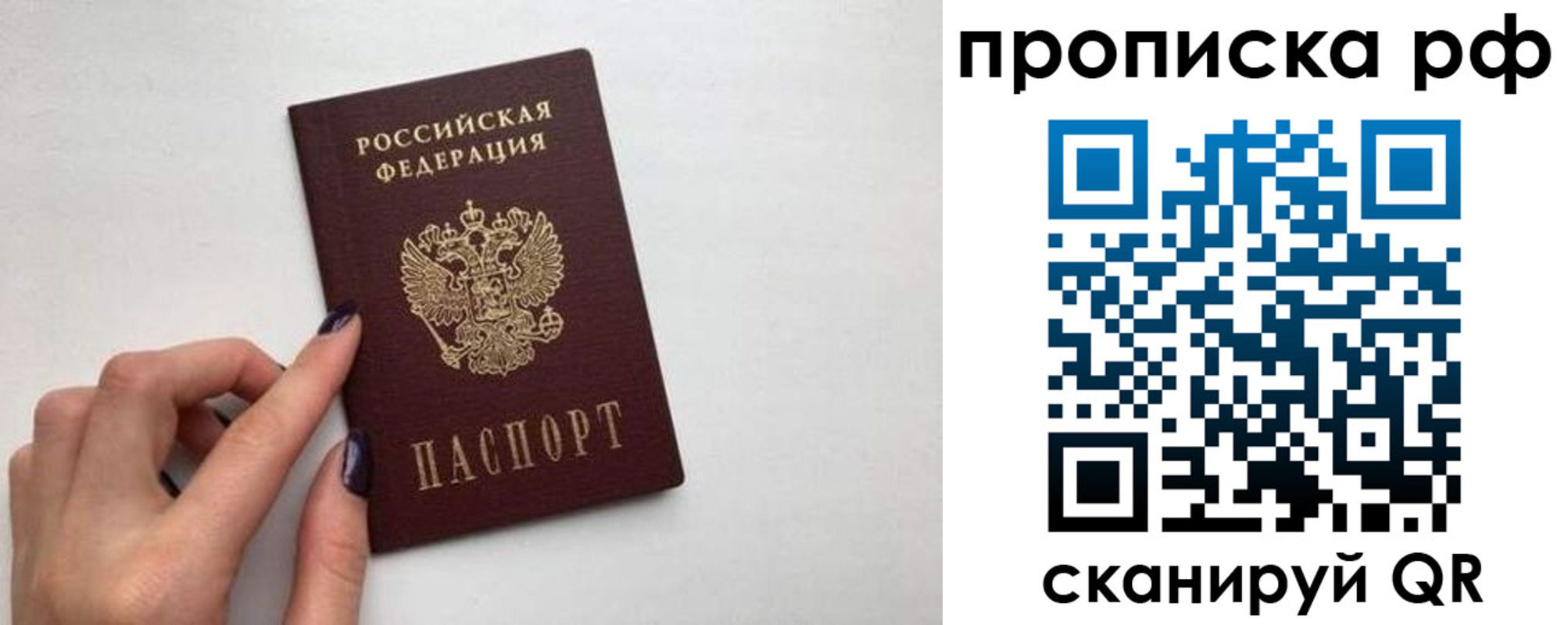 прописка в квартире в Амурской области