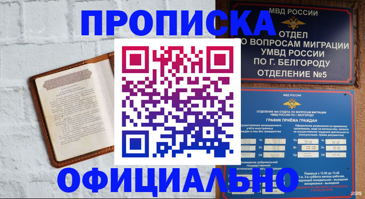 временная регистрация для школы в Амурской области